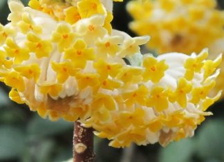 Simt că vine vara…!