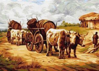 FABULĂ: Vaca și boul