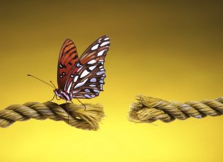 Ce nu ştii nu-ţi poate face rău