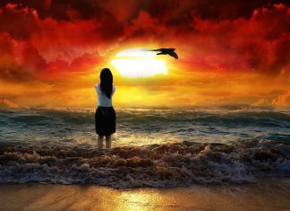 Adevărat, unii bărbați chiar sunt porci. Să vă povestesc…