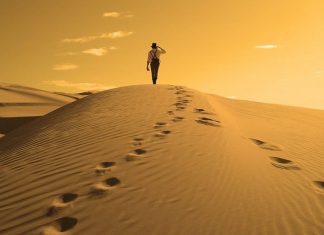 Rar citesc poezii. Dar se-ntâmplă ca unele chiar să-mi placă :)