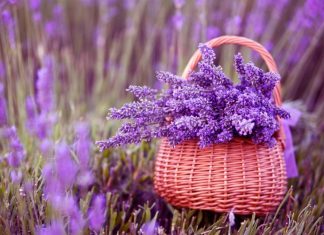 Când viaţa îţi pune bolovani pe umăr