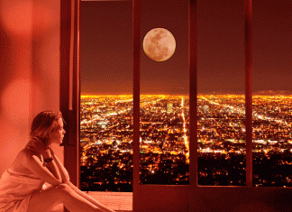 Viaţa mea perfectă