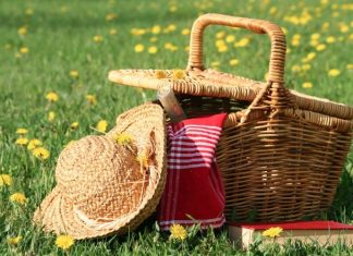 Locurile ideale pentru un picnic in Bucuresti