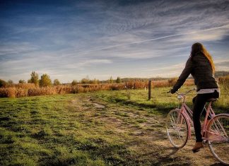 Secretele unei vieţi sănătoase. Sunt două.