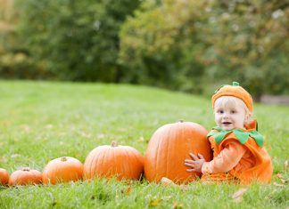Cea mai bună reţetă cu dovleac turcesc