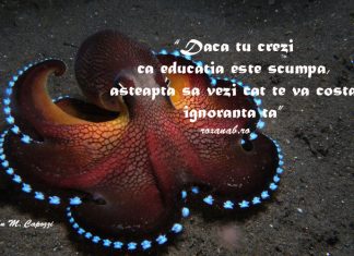 Citatul zilei