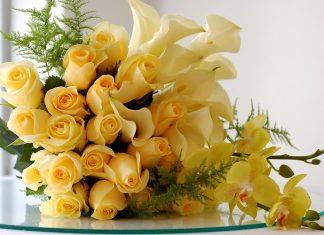 Porți galben? Află ce spune această culoare despre tine