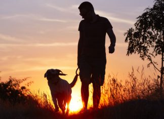 De ce este câinele cel mai bun prieten al omului