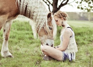 Despre cai şi iubirea mea faţă de ei