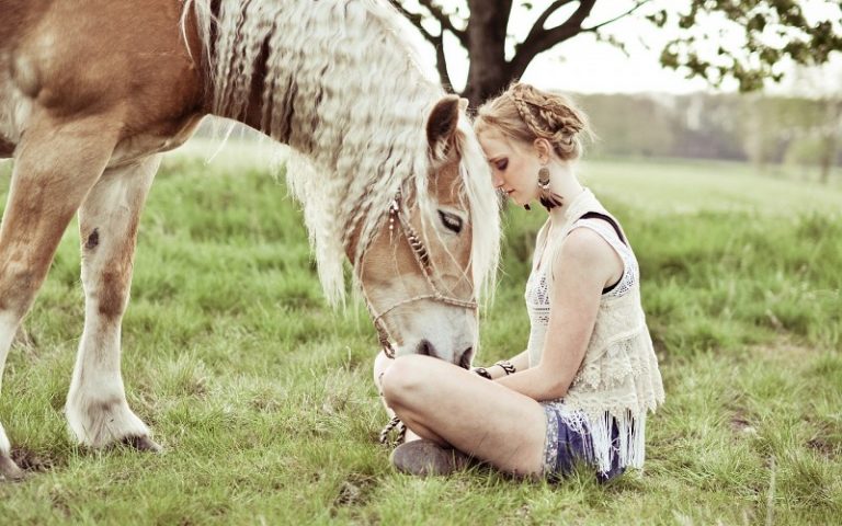 Despre cai şi iubirea mea faţă de ei