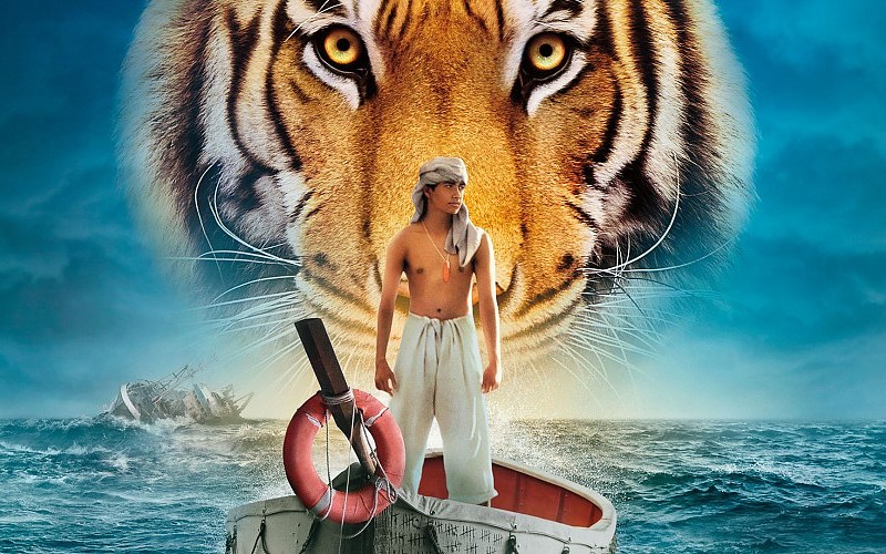life-of-pi-tiger-tigers-background-230368