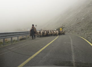 Transalpina – drumul destinderii