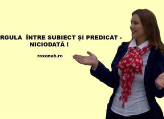 Lecția de gramatică: Cum se ajunge la a pune virgulă între subiect și predicat