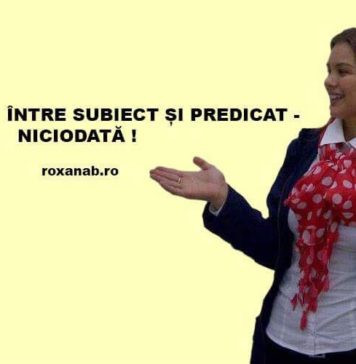 Lecția de gramatică: Cum se ajunge la a pune virgulă între subiect și predicat