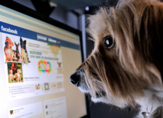 Ce exprimă fiecare postare de pe Facebook?