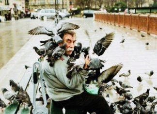 Cover story: Da, puiule, viața e o canalie.