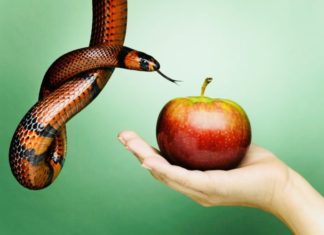 Bărbatul: “Pot rezista la orice, cu excepția ispitei”