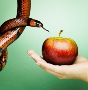 Bărbatul: “Pot rezista la orice, cu excepția ispitei”