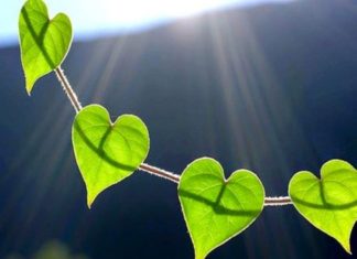 Cele 10 nevoi umane. Ținem cont de ele?