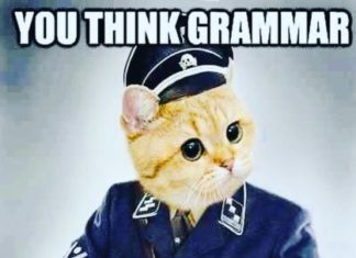 TEST DE GRAMATICĂ: Facem 10 din 10?