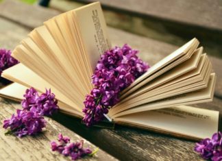 Cartea săptămânii: Idiotul