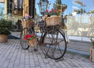 Test de cultură generală: Cât de mult îți place LITERATURA?