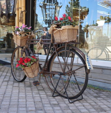 Test de cultură generală: Cât de mult îți place LITERATURA?