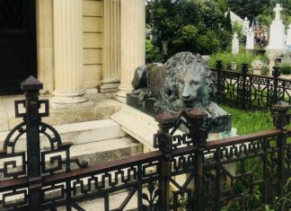 Pe meleaguri românești: Cimitirul Ungureni, cel mai frumos din câte am văzut