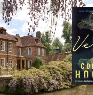 Recenzie: Verity