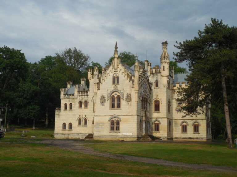 Tabăra de Lectură pentru adulți de la Castelul Sturdza (Miclăușeni, Iași)